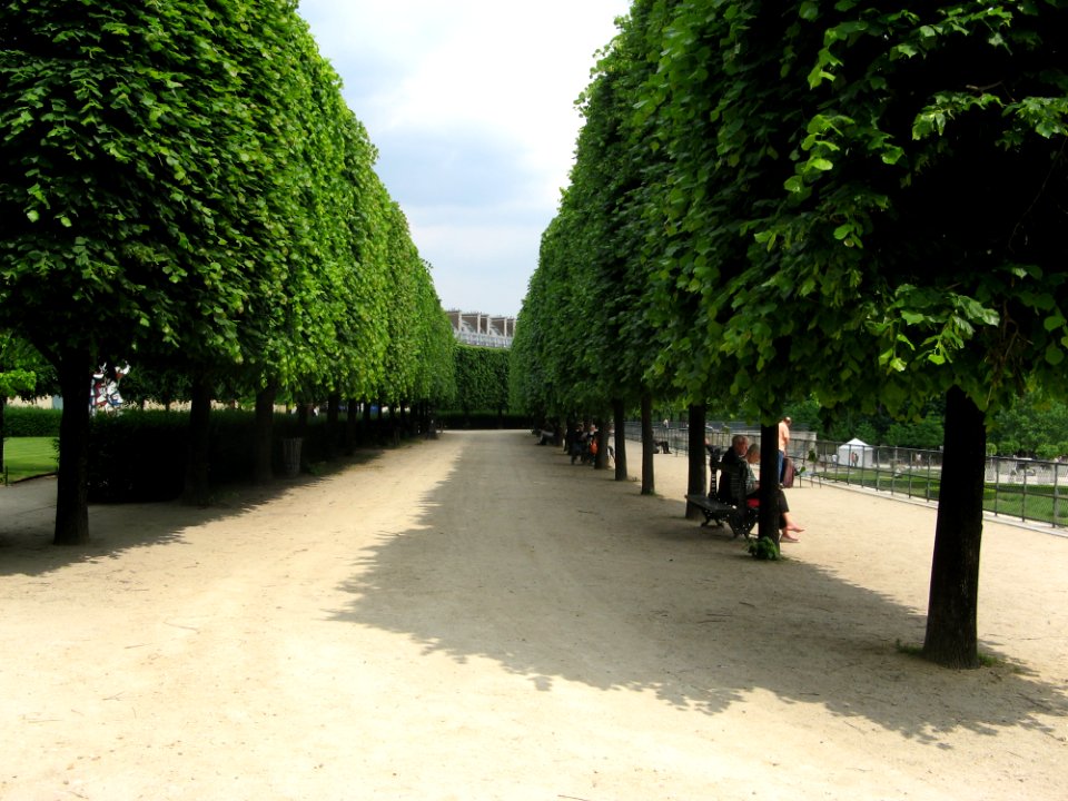 Louvre Garden
