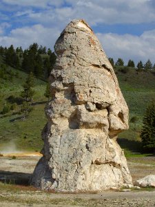 Liberty Cap