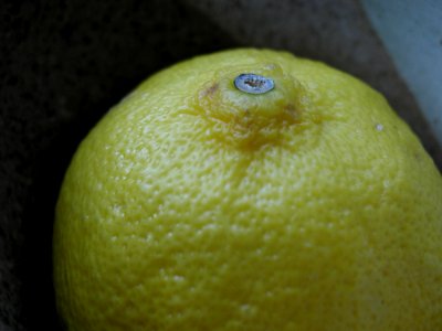 Lemon 1