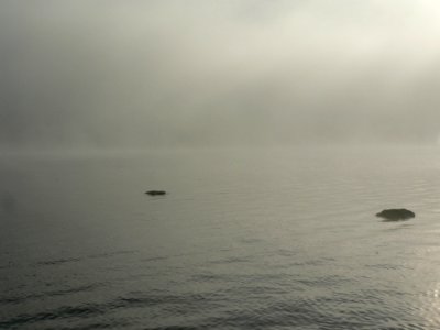 Lake Rocks In Morning Mist 2