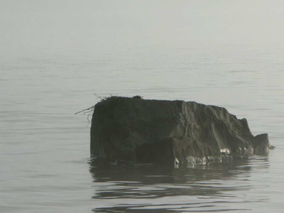 Lake Rock In Morning Mist