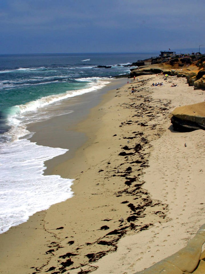 La Jolla Cove 13