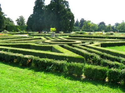 Labyrinth