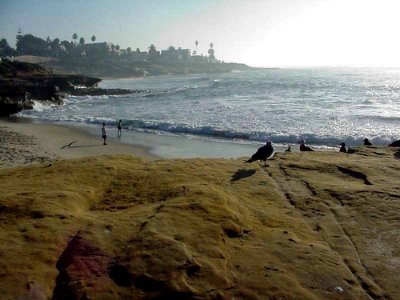 La Jolla Cove 6