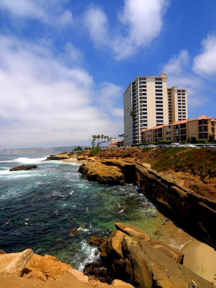 La Jolla Cove 14
