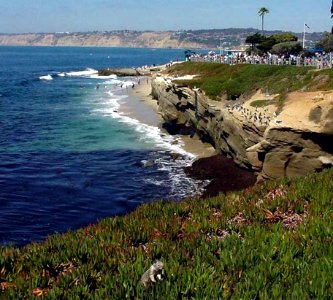 La Jolla Cove 10