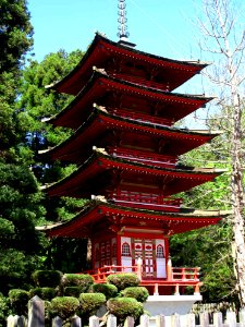 Japanese Tea Garden