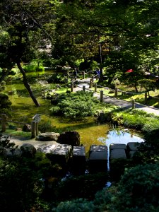 Japanese Tea Garden 2