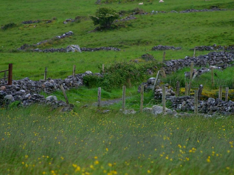 Ireland 55