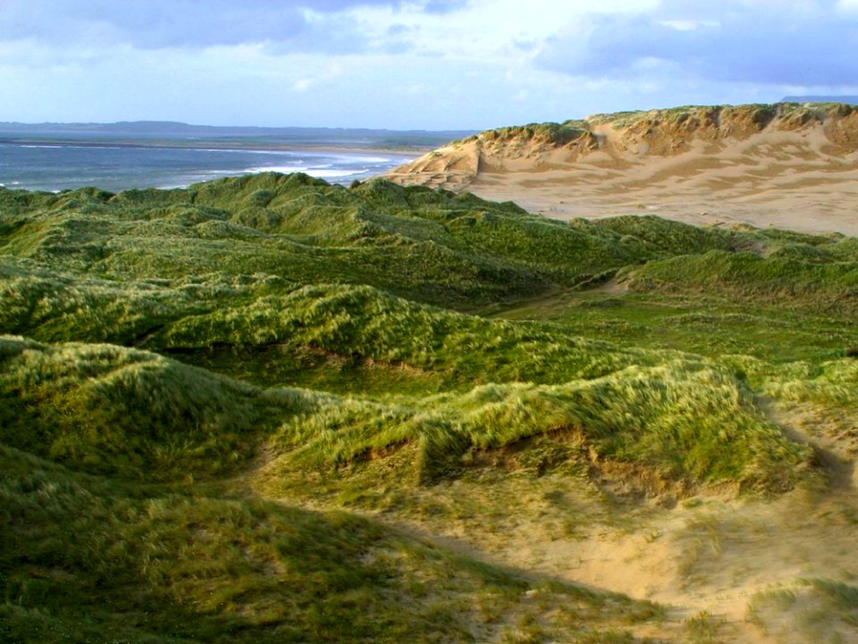 Ireland 31