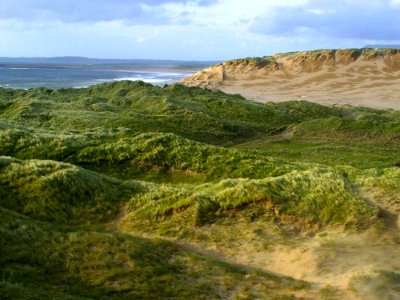 Ireland 31