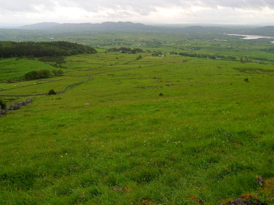 Ireland 32