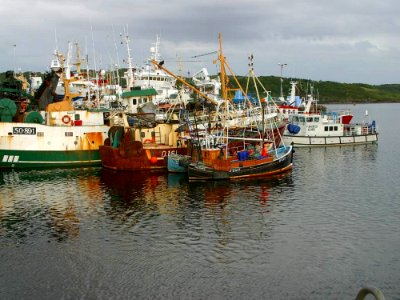 Ireland 24