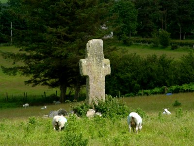 Ireland 34
