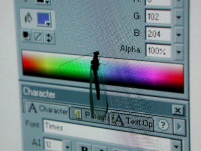 Insect On Screen 2