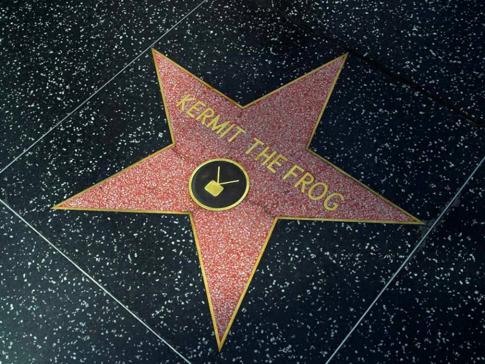 Hollywood Stars Kermit The Frog