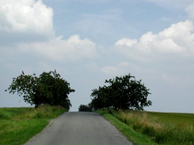Horizon