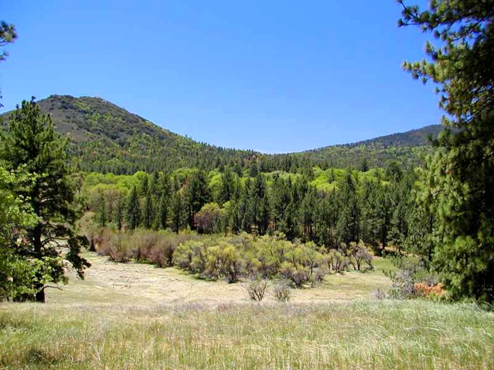 Hills