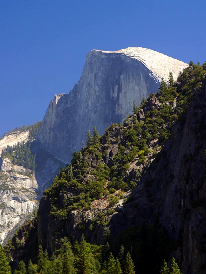 Half Dome In Yosemite photo