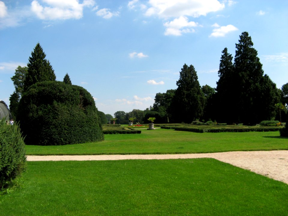 Green Grass
