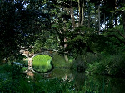 Golden Gate Park Stow Lake 2