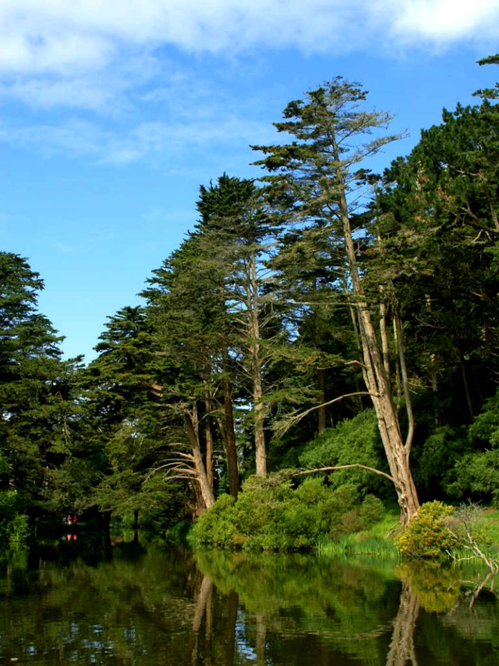 Golden Gate Park Stow Lake