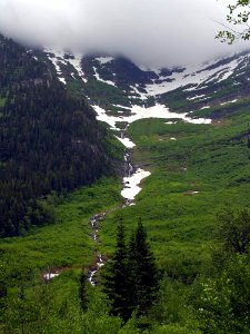 Glacier Morning