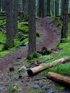Glacier Trail