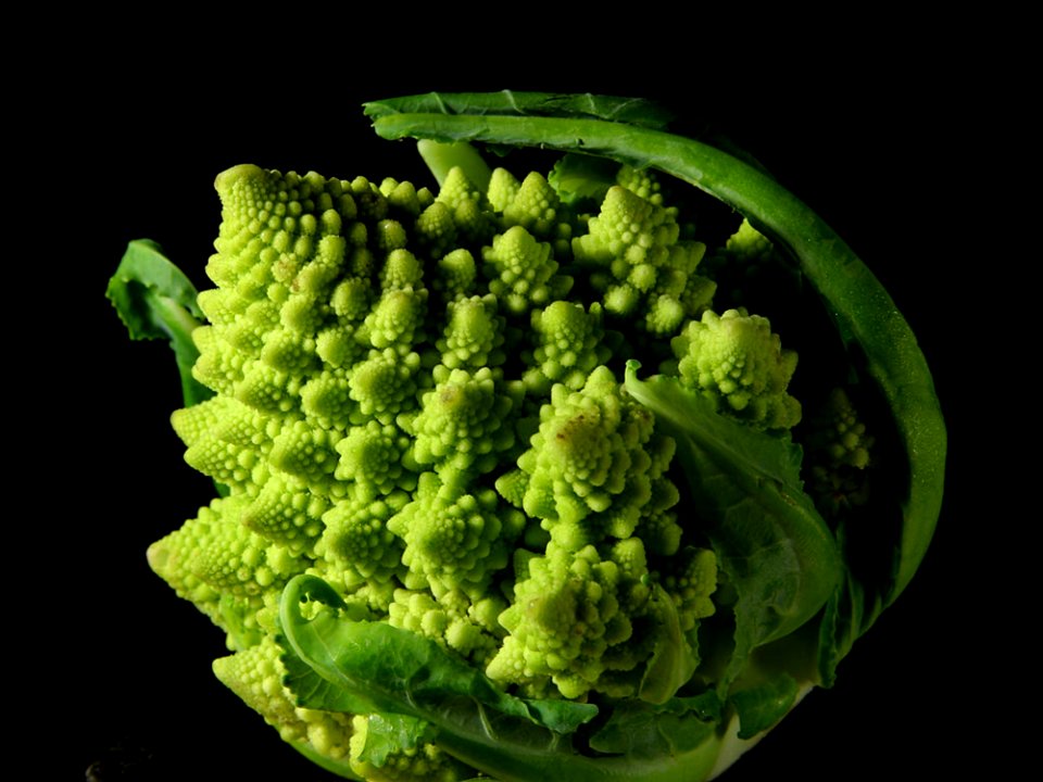 Fractal Broccoli