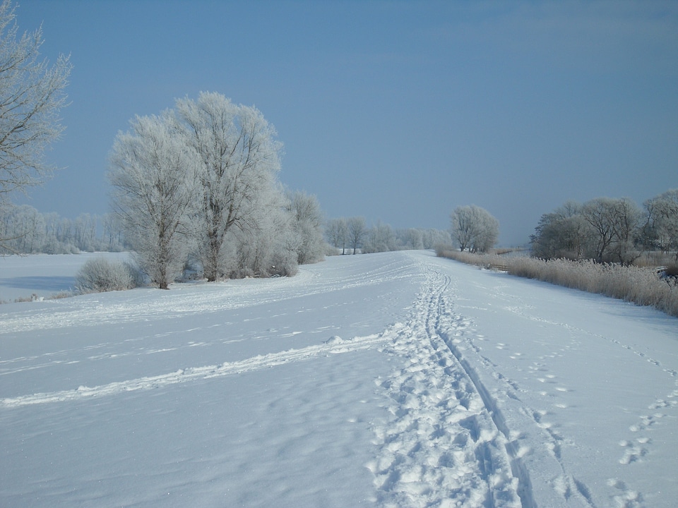 Dike traces beautiful