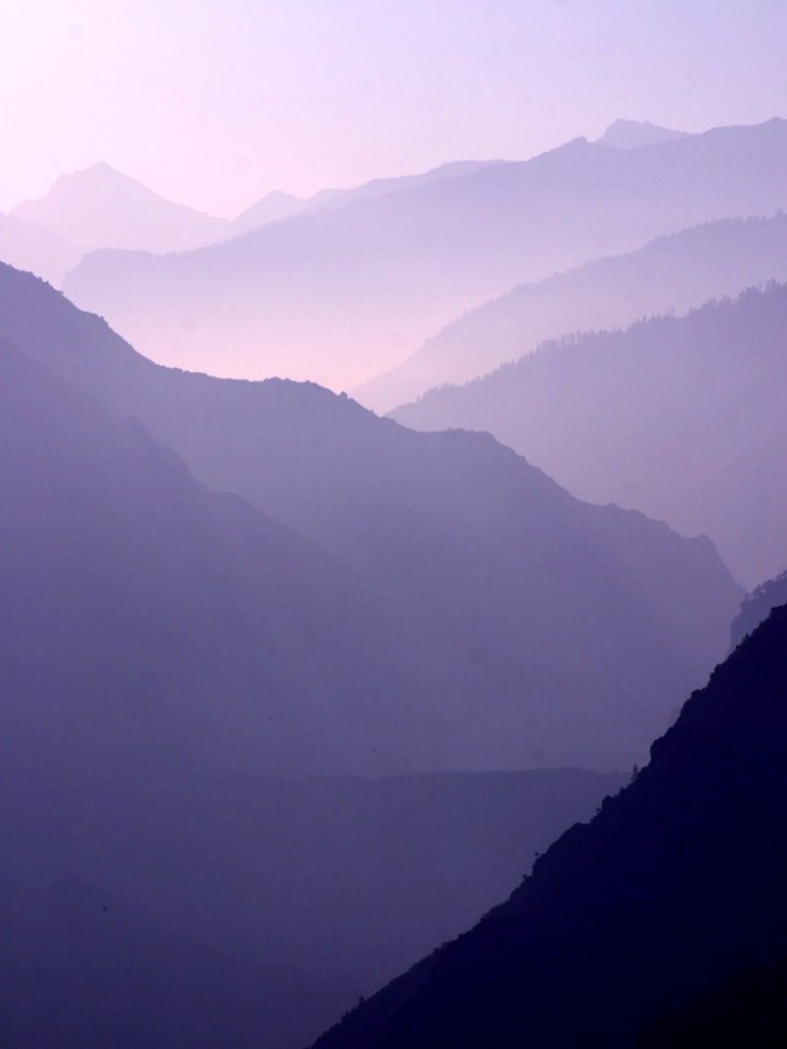 Fog