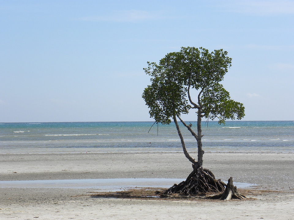 Sand beach sand lonely