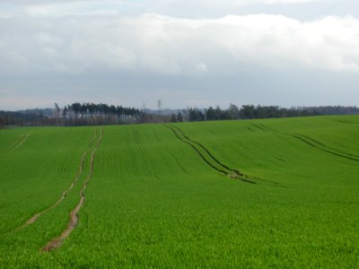 Field 30