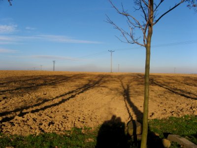 Field In Fall