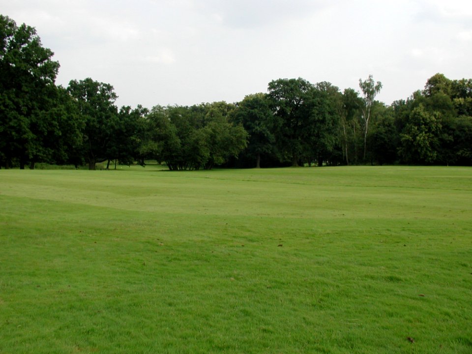 Field 52