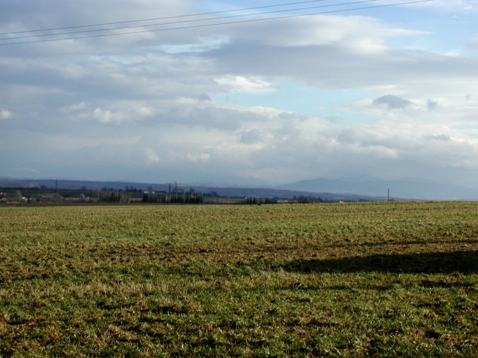 Field 4