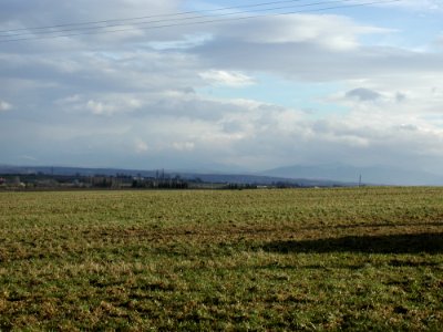 Field 4