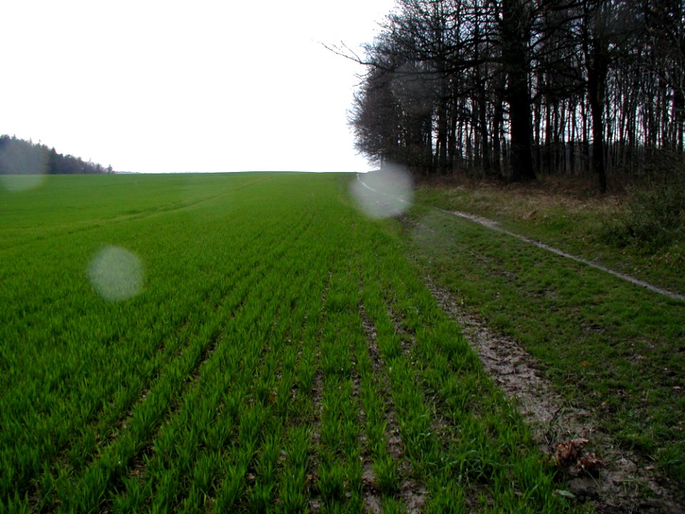 Field 22