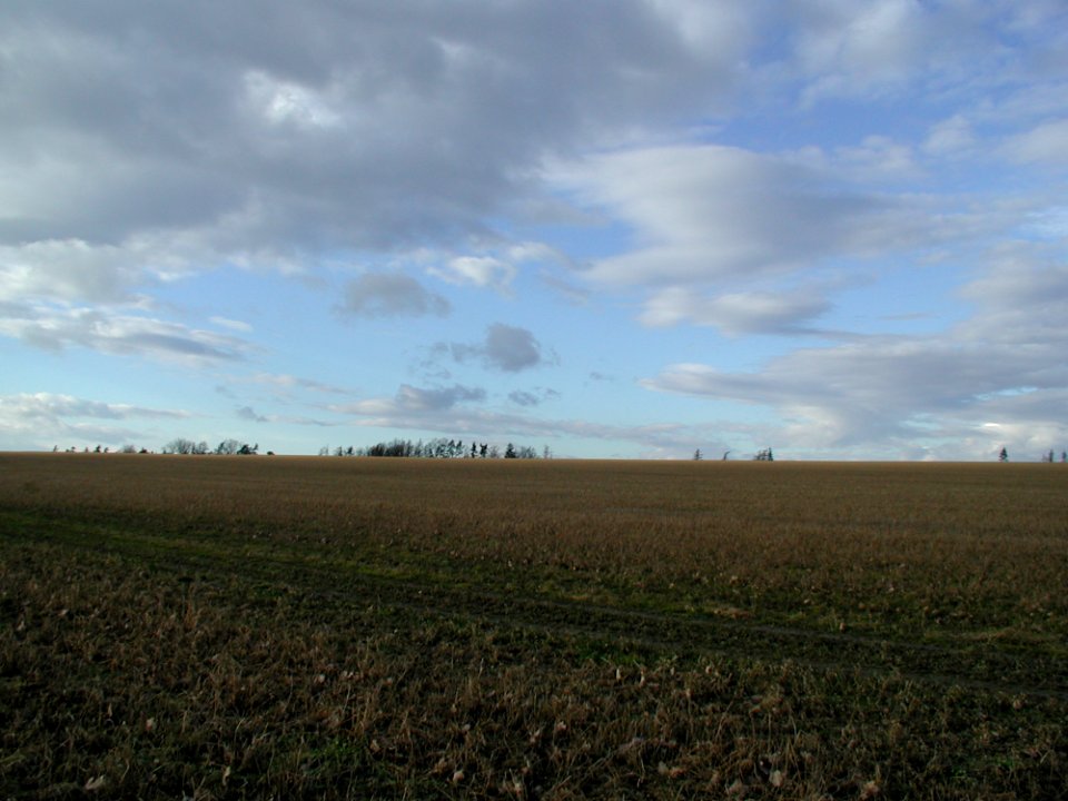 Field 5