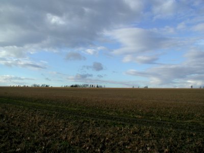 Field 5