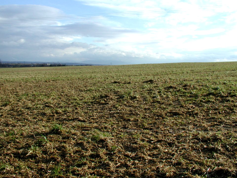 Field 3