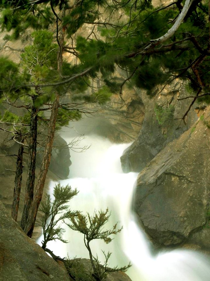 Falls