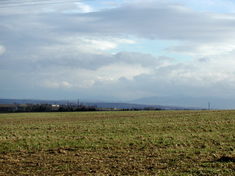 Field 2