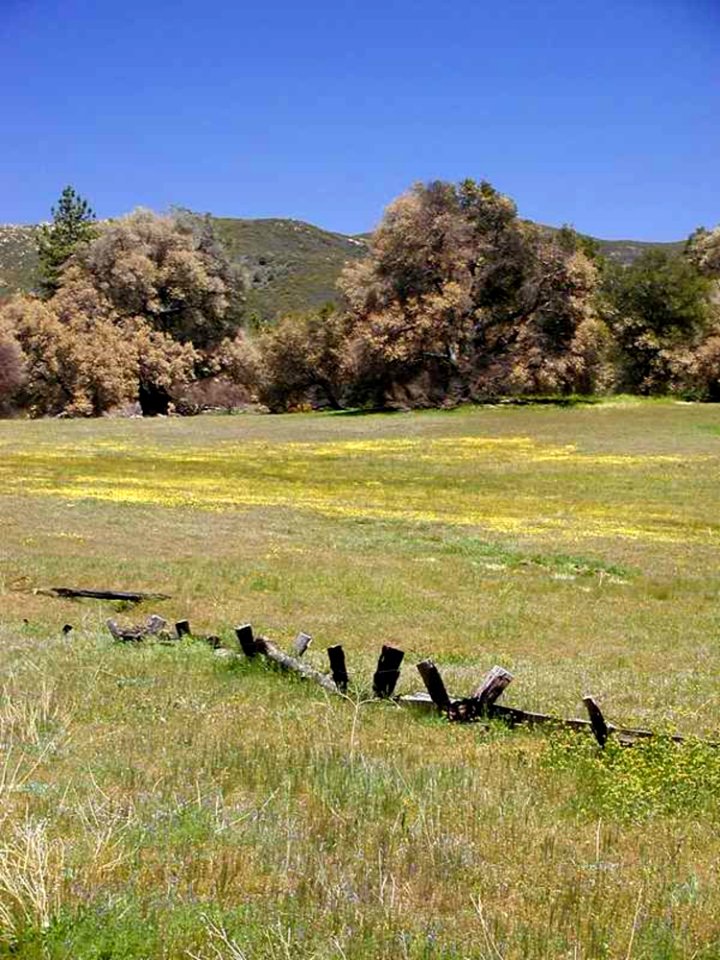 Fence