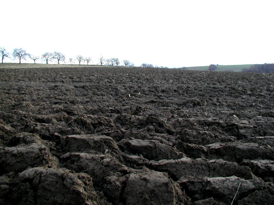 Field 14