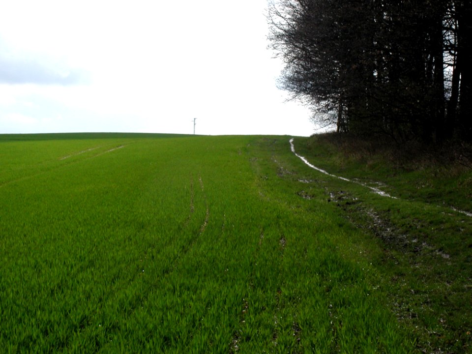 Field 25