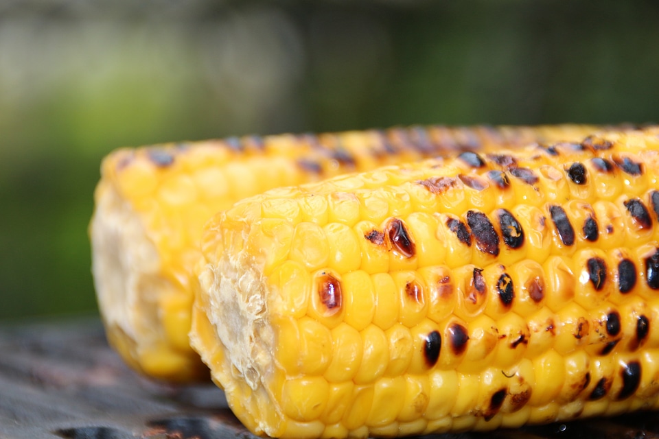 Sweet corn food eat