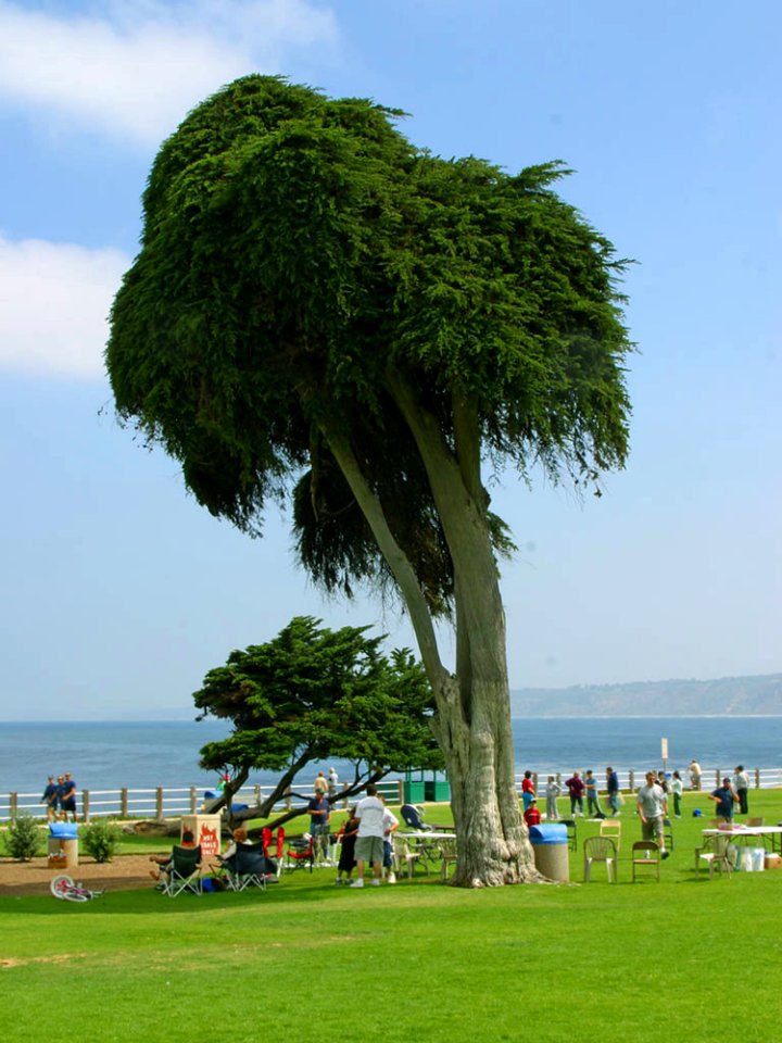Ellen Browning Scripps Park
