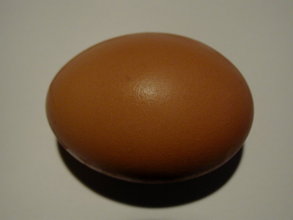Egg 5