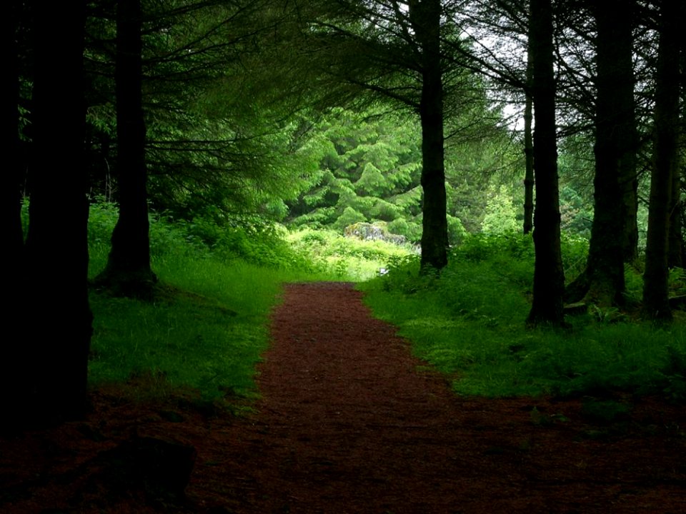 Deerpark